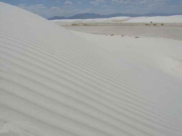 white sands