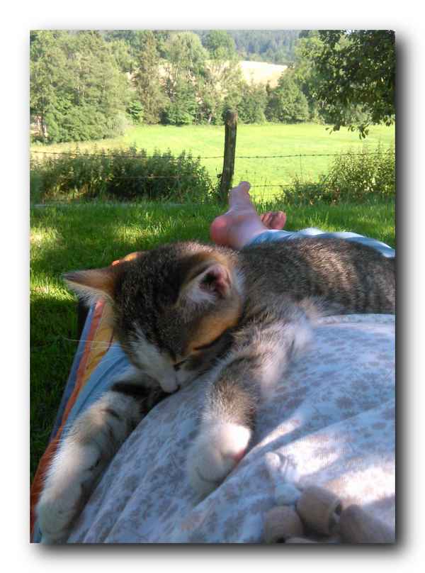 Mittagspause