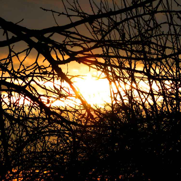 Abendsonne