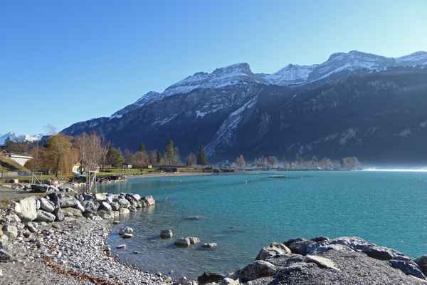 Brienzersee mit Wildgärst