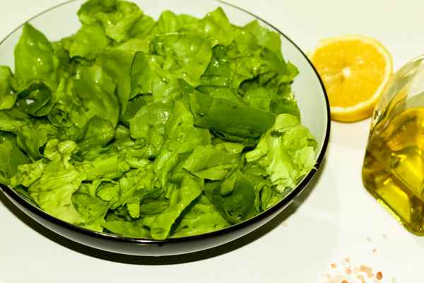 Grüner Salat mit Olivenöl