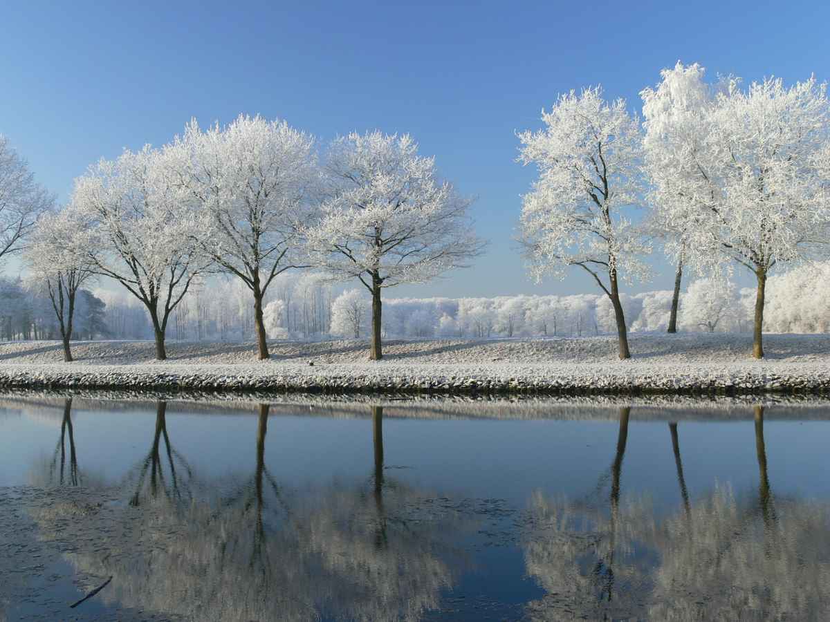 Traumhafte Winterlandschaft