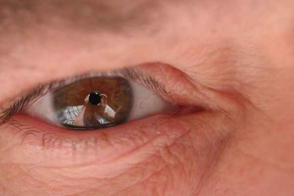 SCHAU MIR IN,S AUGE KLEINES, ...