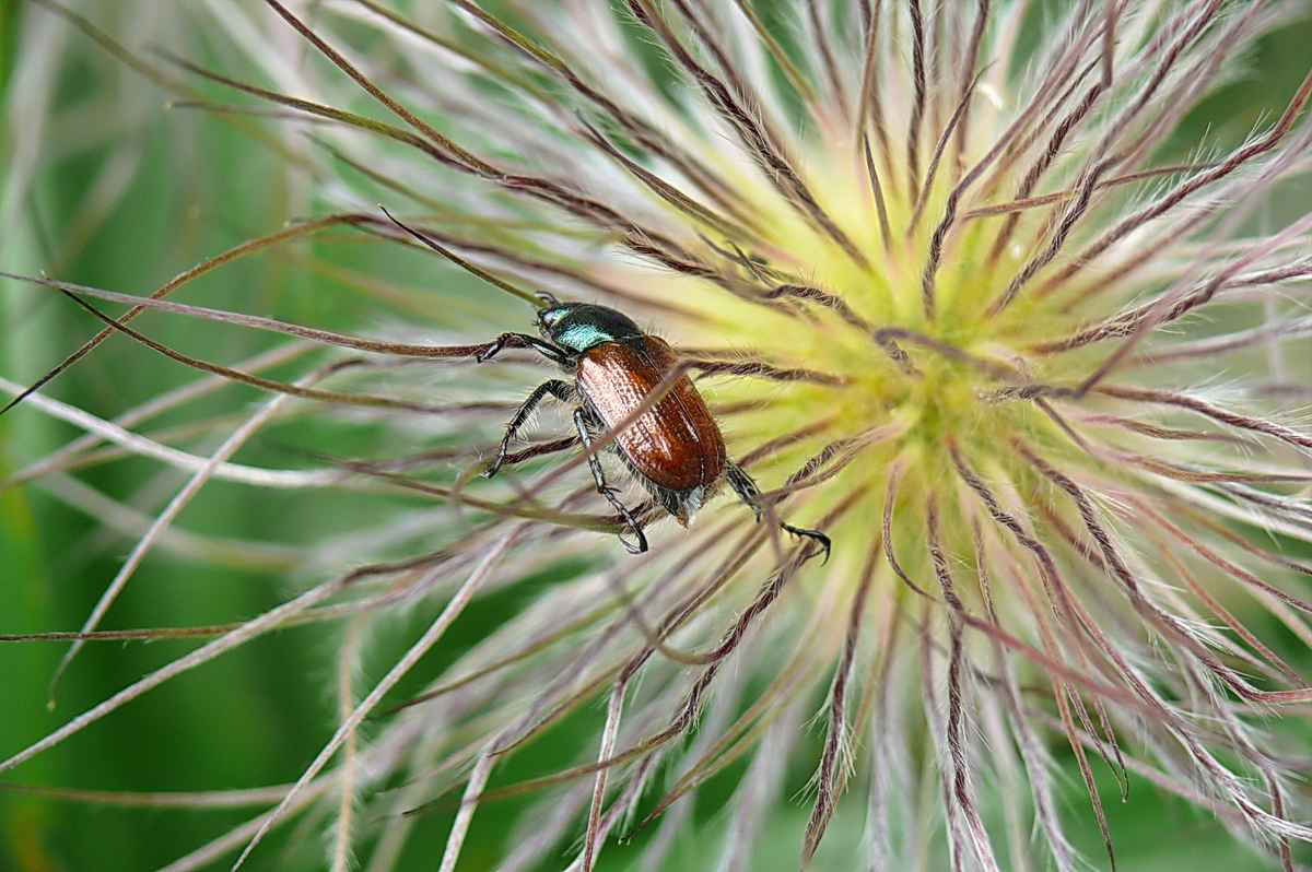 ich hab mich etwas verirrt...