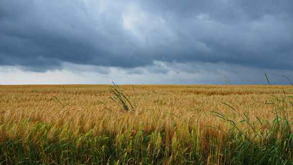 unwetter im anzug