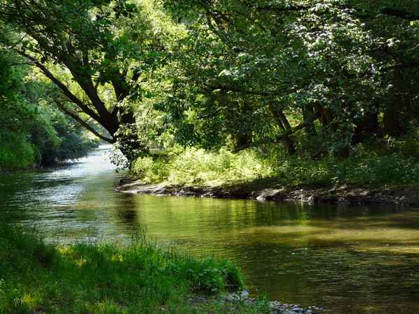 Naturparadies Innerste 13