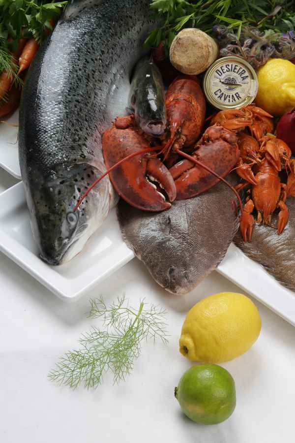 Fisch verschiedene Sorten