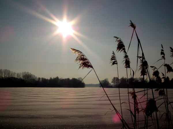 Winter am See