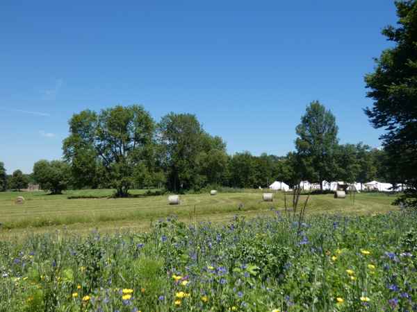 Zeltlager auf Sommerwiese
