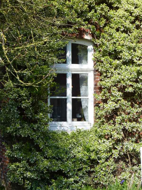 Fensterrahmen