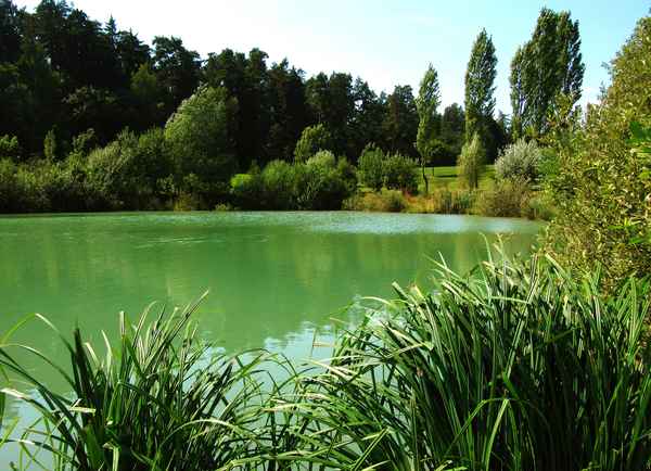 Sommerwind und Badesee