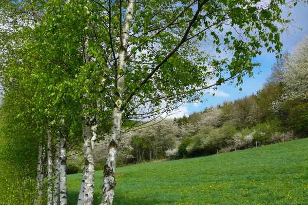 Frühling liegt in der Luft