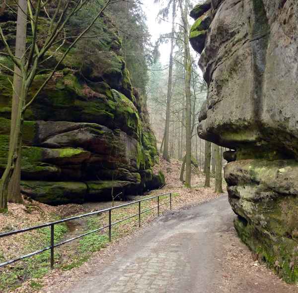 Auf dem Malerweg in Elbsandsteingebirge