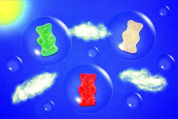 IM GUMMIBÄRCHENLAND...........