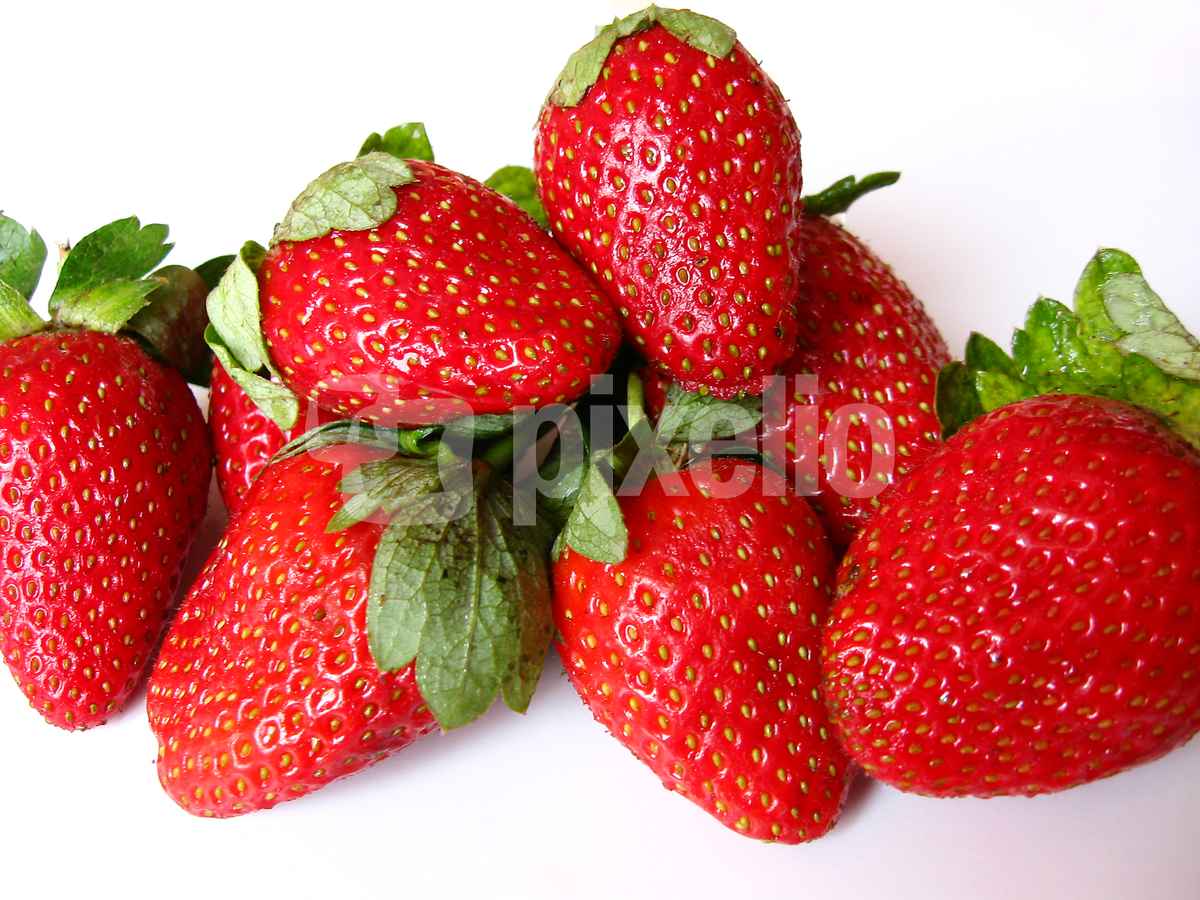 Erdbeeren