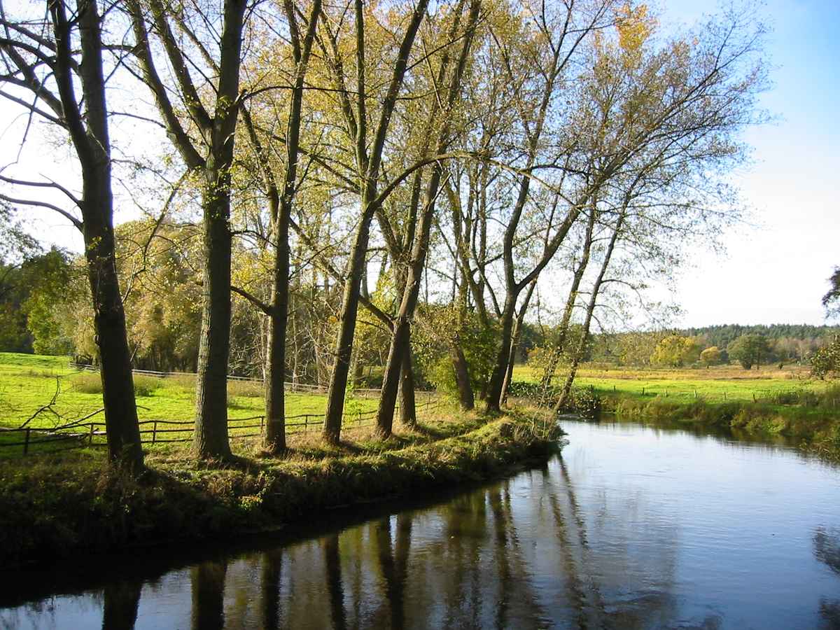 Ilmenau bei Bad Bevensen