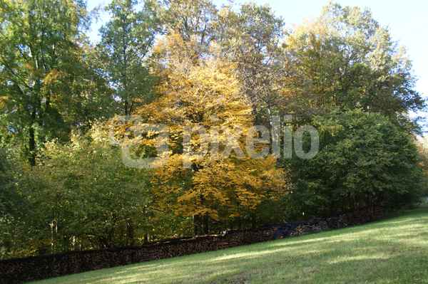 Wintervorrat im Herbst