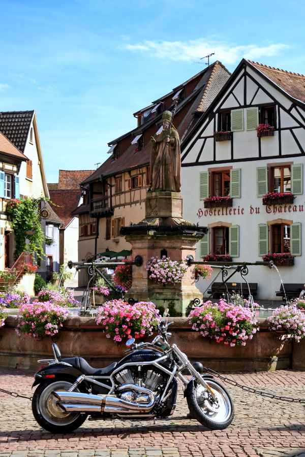 Blühendes Eguisheim