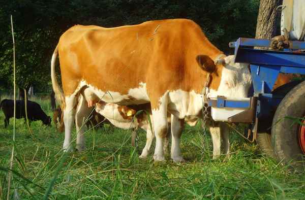 Wenn hinten getrunken wird...muss man vorn nachfüllen!
