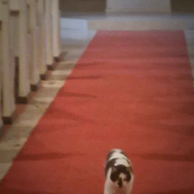 Spaziergang in der Kirche