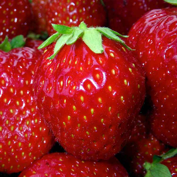 Die EINE .... unter sooo Vielen