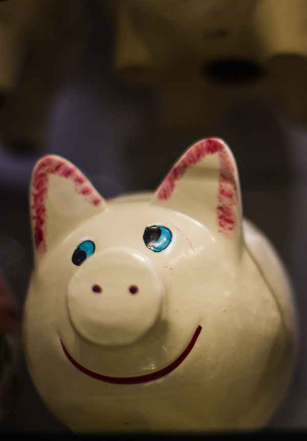 Da lacht das Schwein