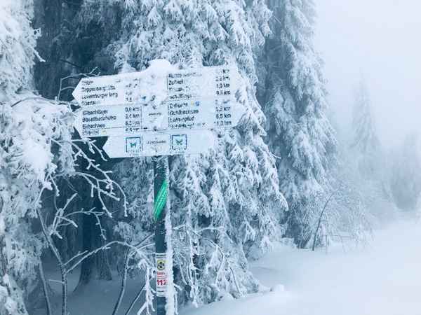 Wegweiser im eisigen Winter