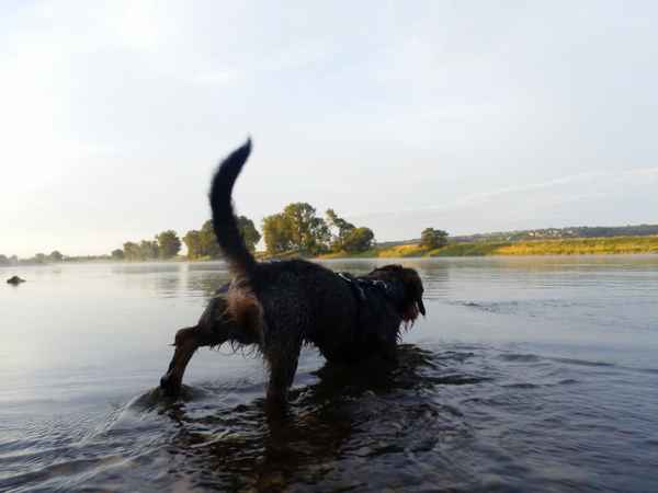 Auch früh um 5 kann man schon baden gehen...
