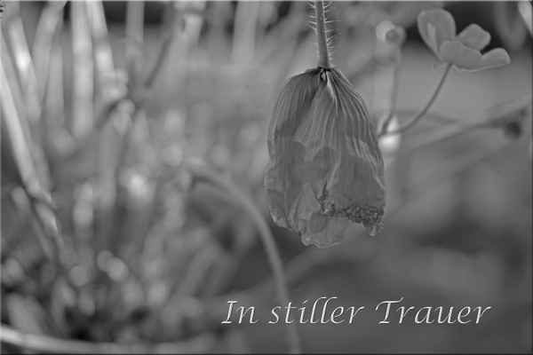 In stiller Trauer