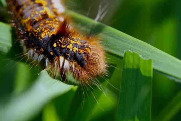 Die R....,habs gefunden