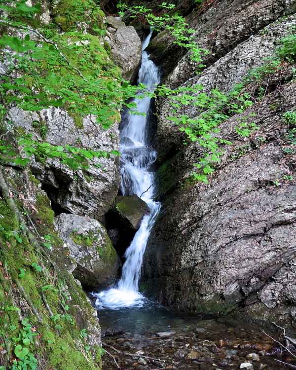 Beruhigendes Plätschern durch den Wald