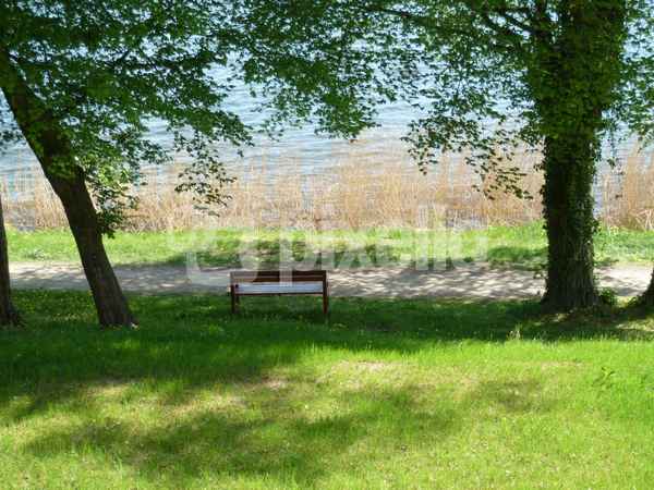 Am Schaalsee