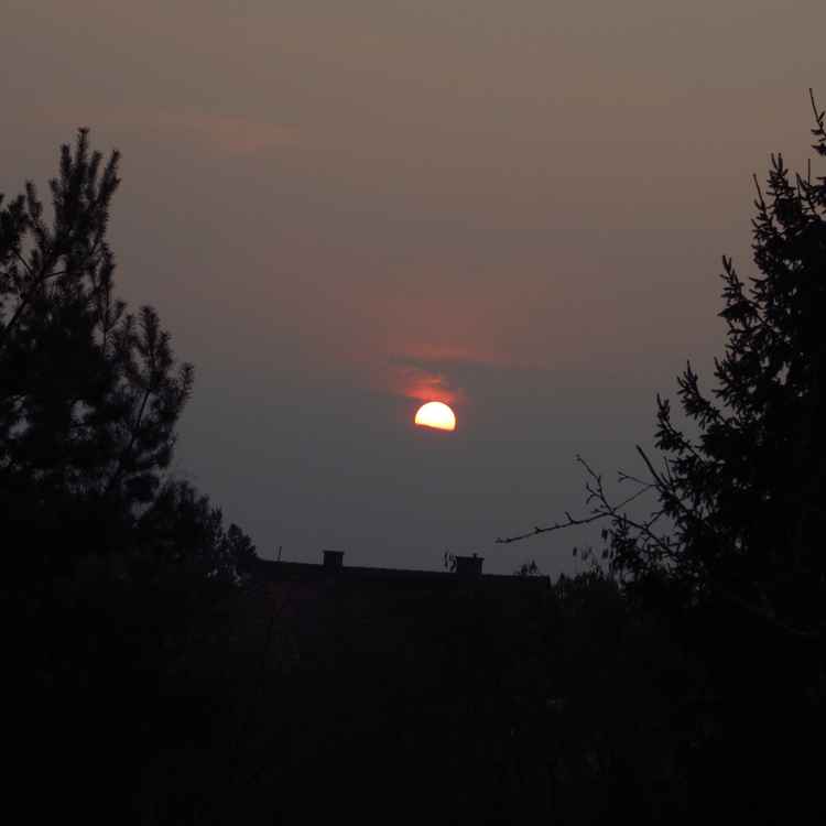 "WS" Sonnenuntergang