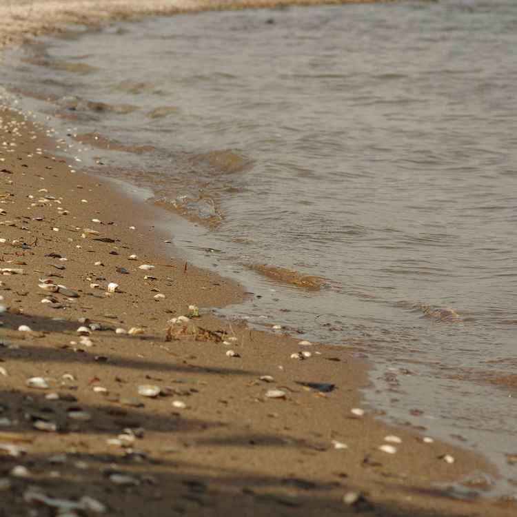Rheinstrand