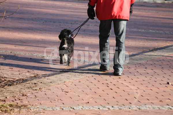 Hund mit Herrchen