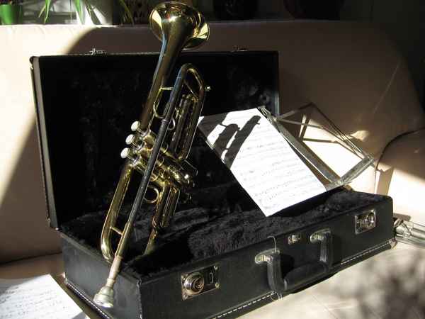 Trompete, ein herrliches Instrument