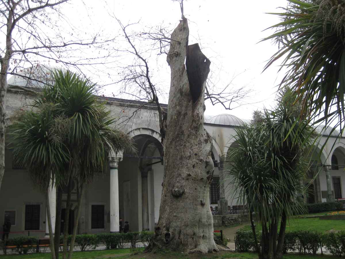 Topkapi mit Schatzkammer