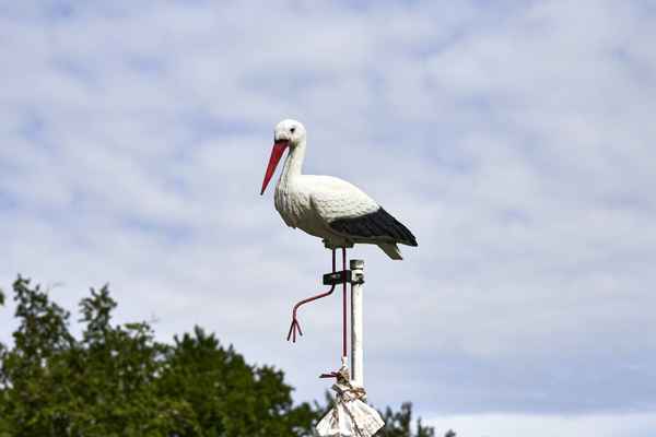 Klapperstorch