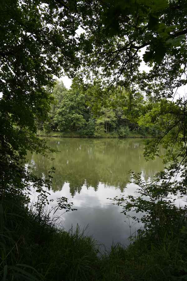 idyllischer Fischweiher