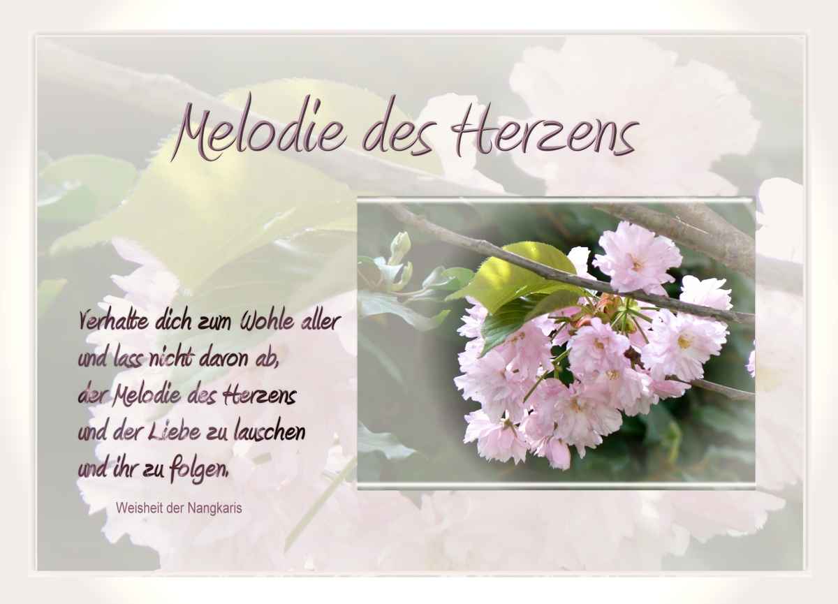Melodie des Herzens