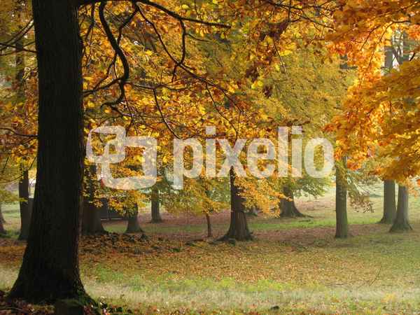 Herbst im Land !