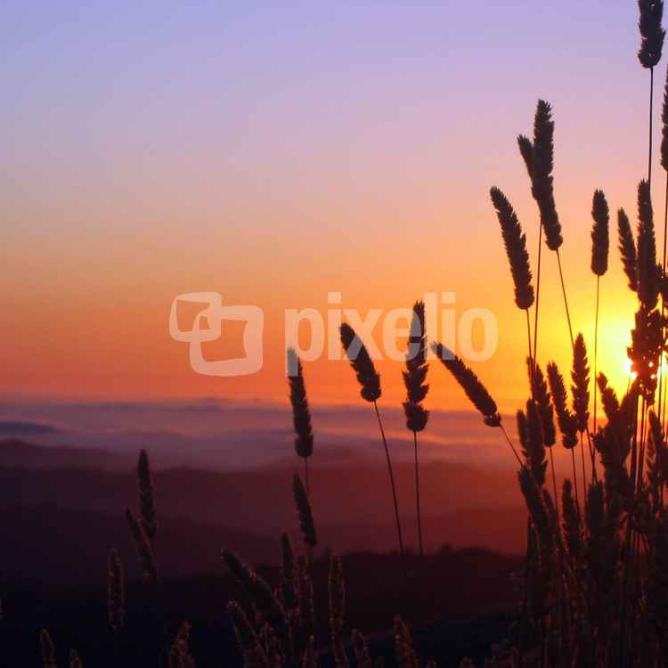 toscanische Sonnenuntergänge