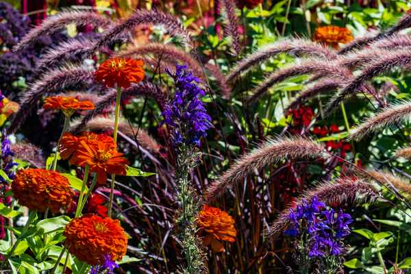 Bunte Flora