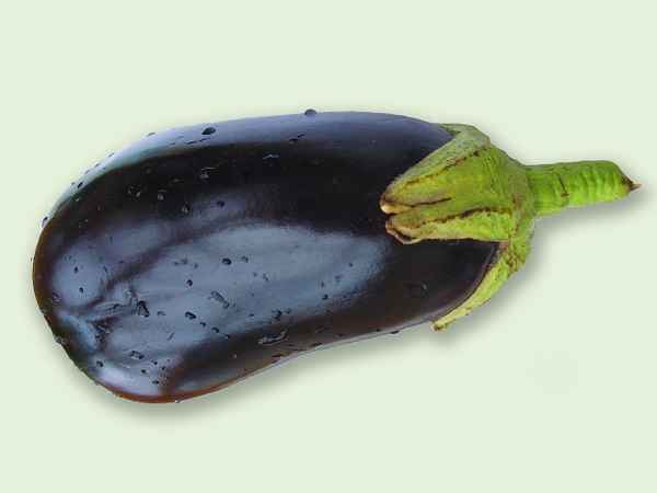 Aubergine