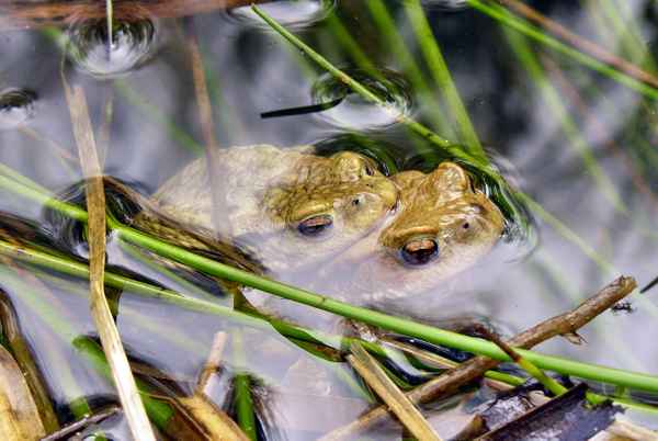 "Wir haben uns versteckt!"