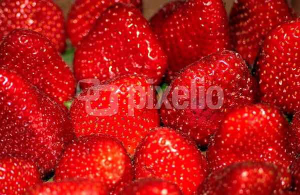 Erdbeeren 2