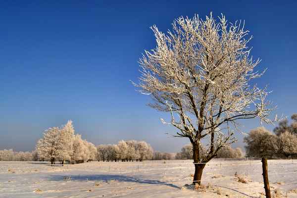 ein letztes Winterbild,