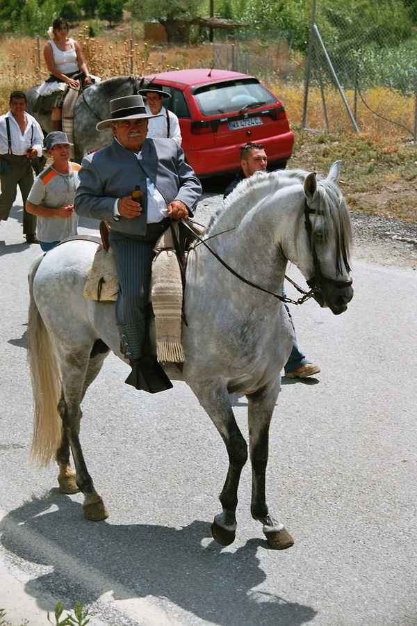  Spanischer Reiter