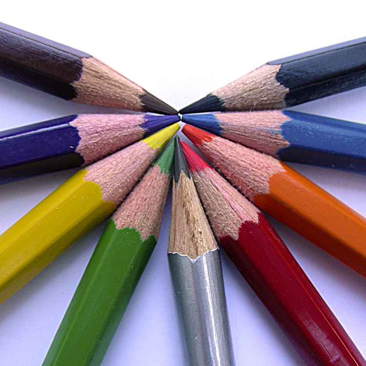 Einheit in der Vielfalt