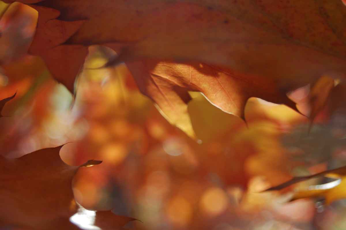 Licht und Schattenspiel - Serie